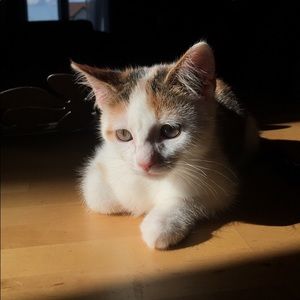 Meet your Posher, Sabrina